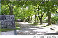 Iwate Park